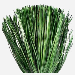 Spruce Green (LL3-334)