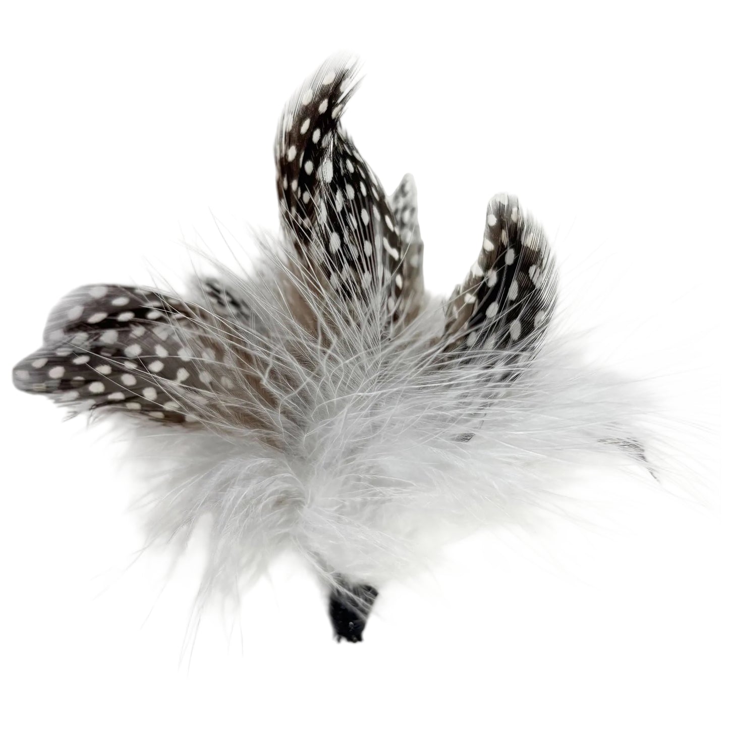 Marabou with Guinea Feathers