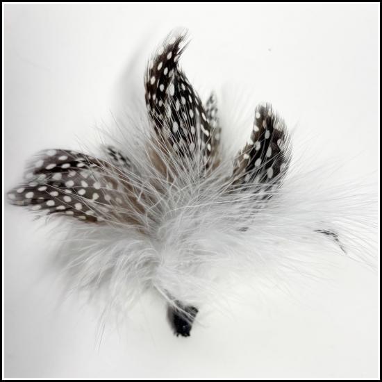 Marabou with Guinea Feathers
